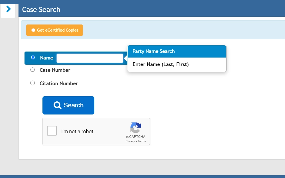 Screenshot of the case search tool of the Osceola Clerk of the Circuit Court and County Comptroller, showing the field for name search with instructions and the other search options, including case number and citation number.