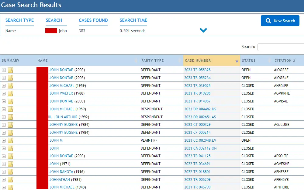 Screenshot of the results from the case search tool provided by Osceola Clerk of the Circuit Court & County Comptroller, displaying the search type, search, number of cases found, and search time at the top section, followed by the list of results in table form: summary in the form of a folder icon, name, party type, case number, status, and citation number.